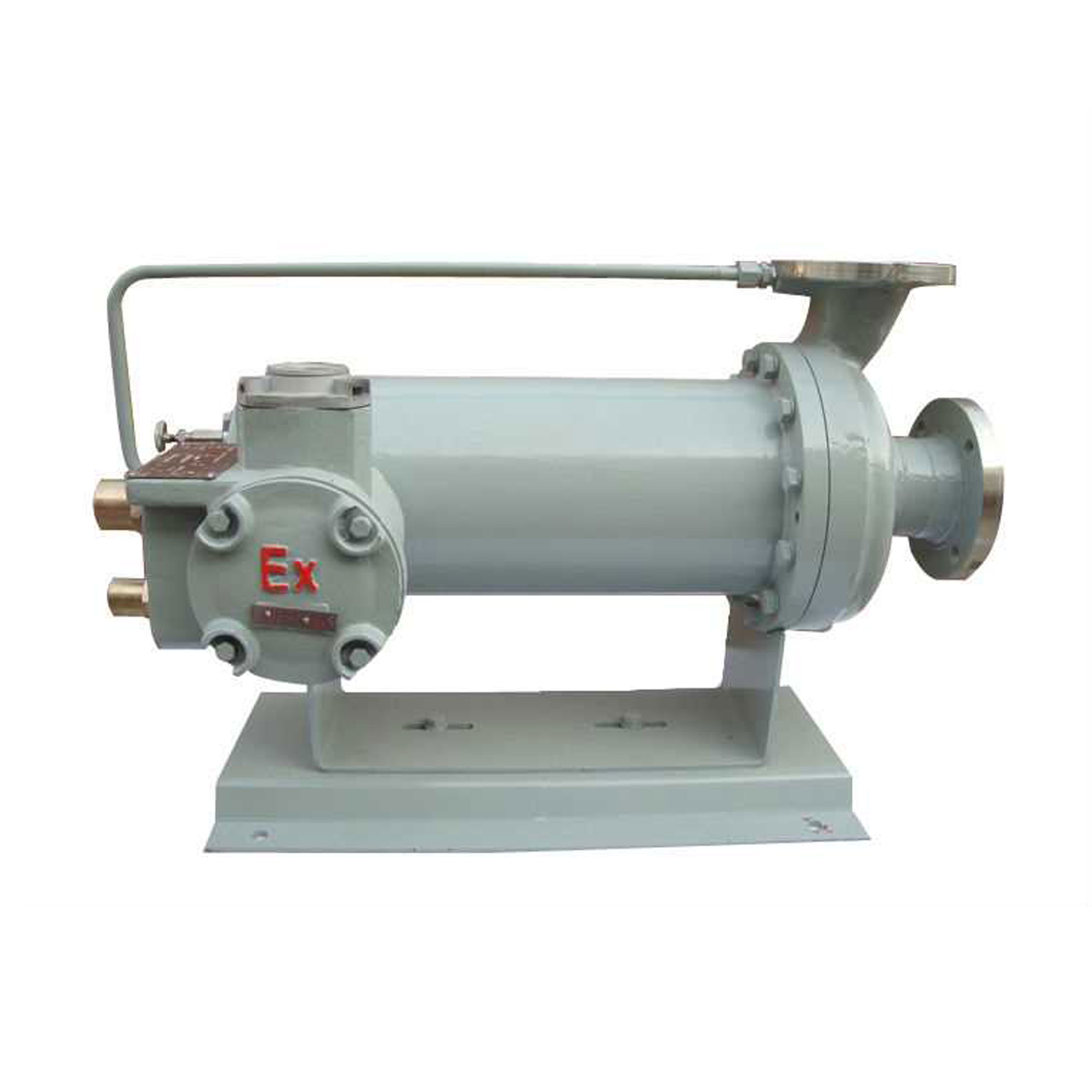 Canned Motor