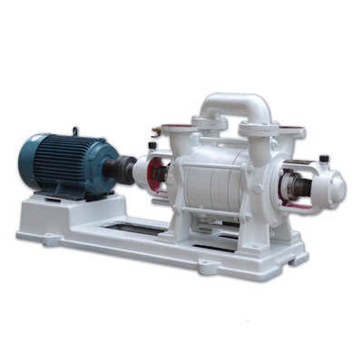 2SK Water Ring Vacuum Pump